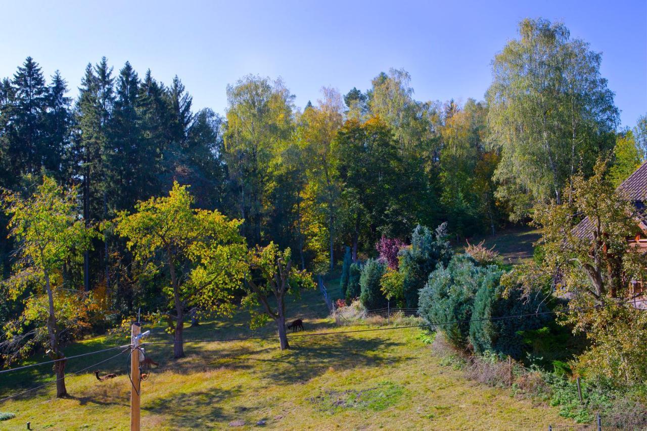 Pension Haus Fuerstenberg Beierfeld 외부 사진