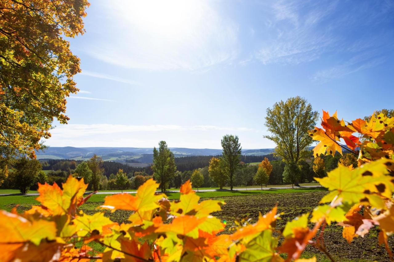 Pension Haus Fuerstenberg Beierfeld 외부 사진